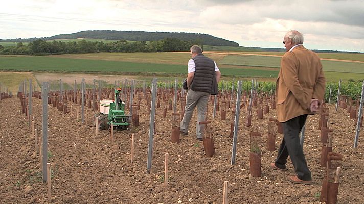 Forjadores del mañana - La ciencia al servicio de la agricultura
