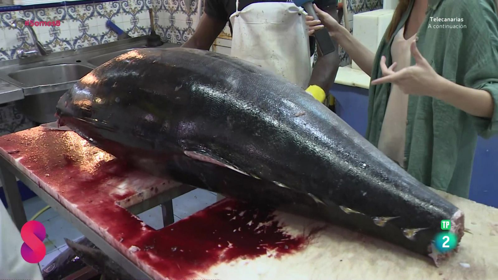 Somos 8 - 09/05/2025 - Somos 8 | Ver