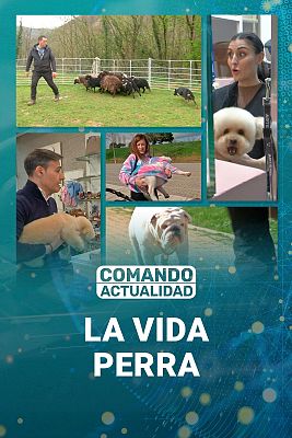 Comando Actualidad - Vida perra