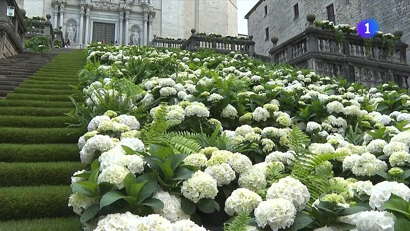 Girona dona la benvinguda a Temps de Flors 2025 - L'Informatiu | Veure