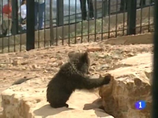 Noticias Murcia - Noticias Murcia.(10/01/2013).