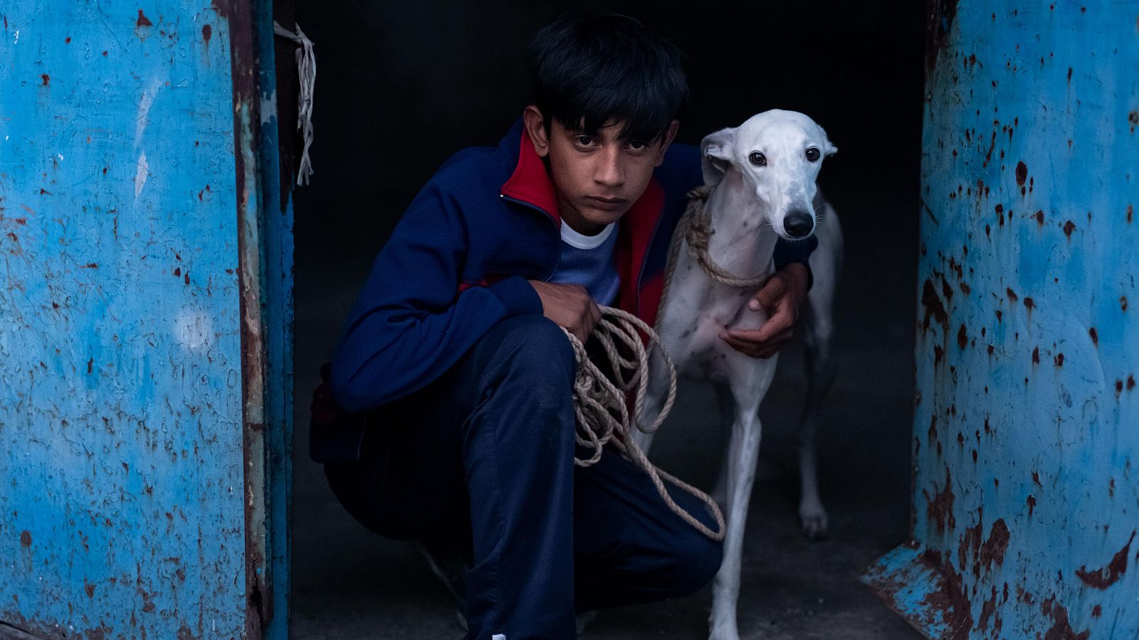 RTVE.es estrena el tráiler de 'Ciudad sin sueño', de Guillermo Galoe | Ver