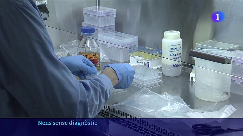 La meitat dels nens amb malalties rares estan sense diagnosticar - L'Informatiu | Veure