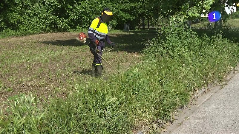 La pluja revifa la vegetació i obliga desbrossar camins - L'Informatiu | Ver