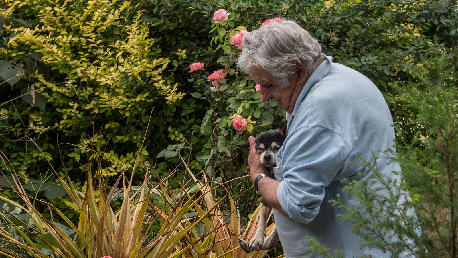 Muere el expresidente uruguayo José Mujica a los 89 años - Informativo 24h | Ver