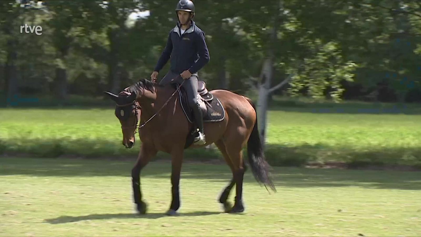 Se jubila Rokfeller, el caballo más laureado de la hípica española - El mundo en 24 horas | Ver