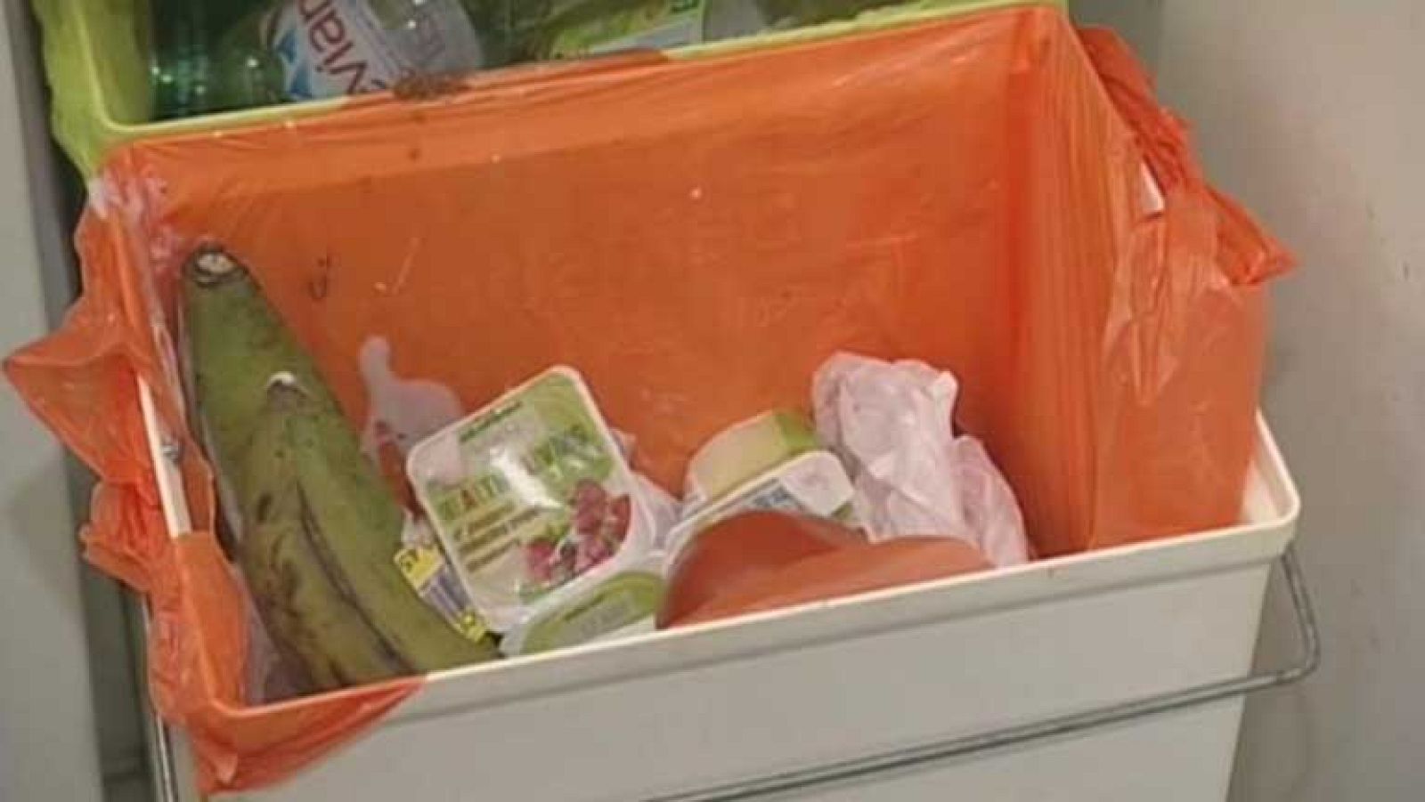 Un estudio indica que la mitad de los alimentos que se producen en el mundo terminan en la basura