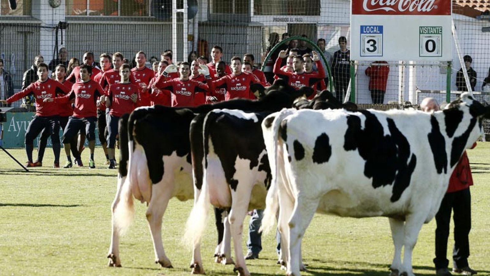 Osasuna presenta tres fichajes de peso | Ver