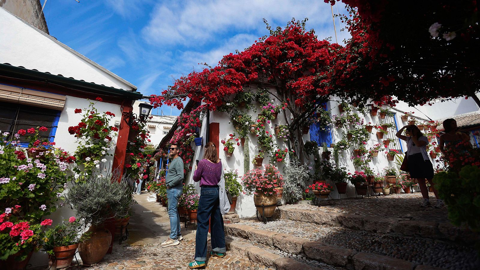 El jurado elige el mejor patio de Córdoba - Telediario 1 | Ver