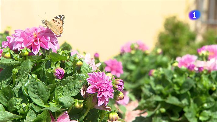 L'Informatiu - El nou espai museístic de Mercè Rodoreda
