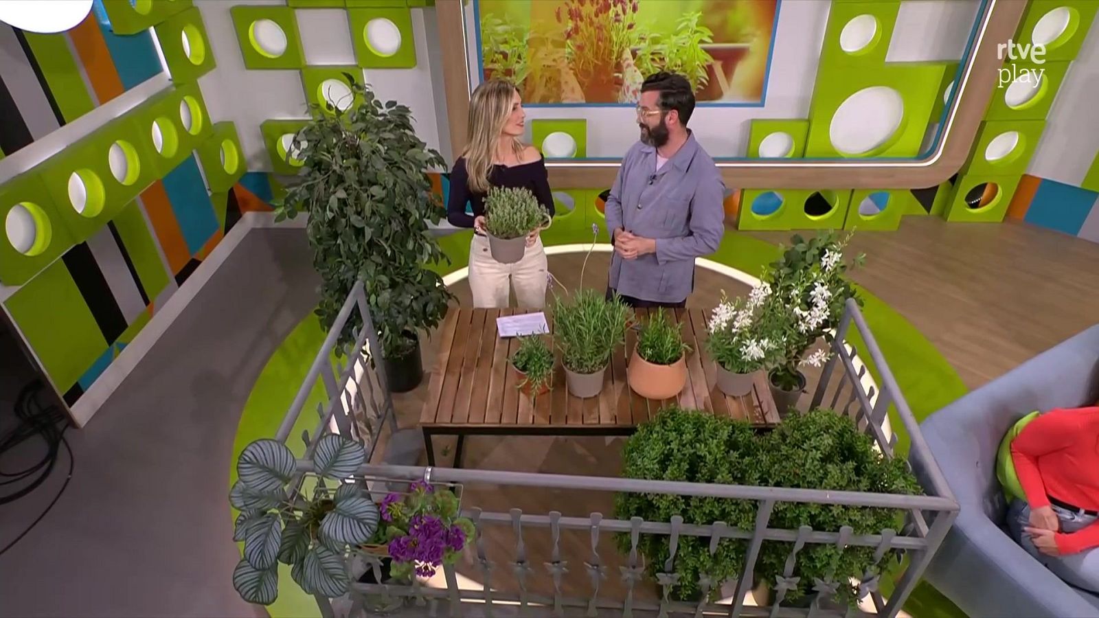 Com decorar la terrassa amb plantes? - L’Altaveu - L'altaveu | Veure