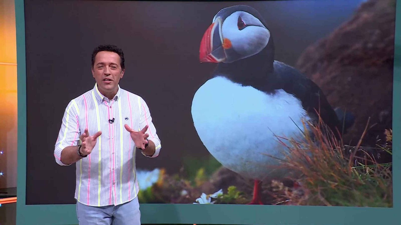 Aquí la Tierra - 15/05/25 - ver ahora