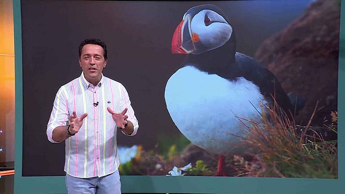 Aquí la Tierra - Aquí la Tierra - 15/05/25