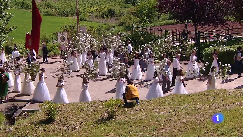 Informativo Telerioja 2 - 16-05-2025 - Ver ahora - Informativo Telerioja | Ver