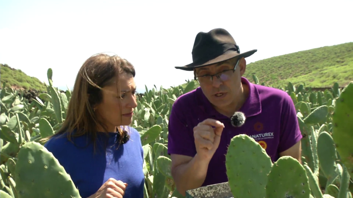 Comando Actualidad - Bichos que alimentan