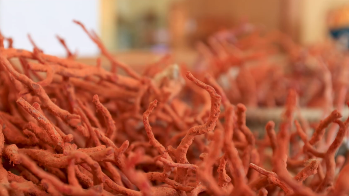 Sabores del mundo - Cerdeña, la isla bella