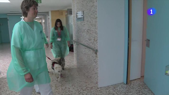 L'Informatiu - Neix la iniciativa 'Hospigos' per acompanyar els pacients terminals