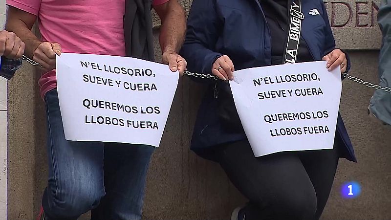 Panorama Regional - 19/05/2025 - Ver ahora