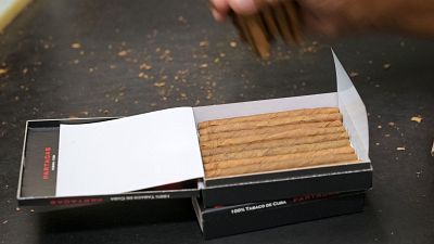 Alumnos lanzan mensaje de concienciaci�n contra el tabaco | Ver