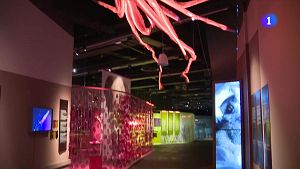 El Museu de Ciències Naturals ensenya els 'Animals invisibles'