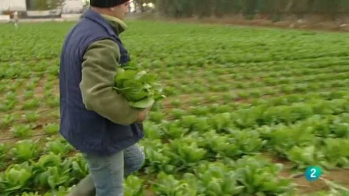 Para todos La 2 - El empleo verde