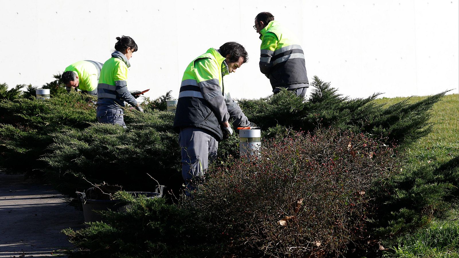 Un empleo para los colectivos vulnerables - Telediario 1 | Ver