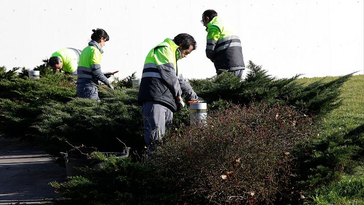 Telediario 1 - Un empleo para los más desfavorecidos