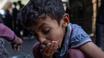 Albanese, relatora de la ONU para Palestina: "Si los Gobiernos actúan ahora se puede evitar la desaparición total de Gaza"