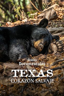 Texas. Corazón salvaje