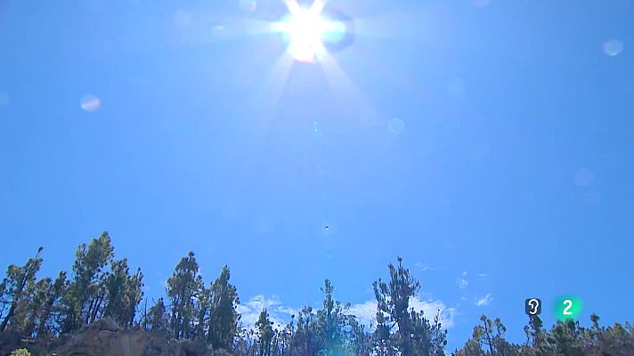 Telecanarias - Telecanarias Tarde - 23/05/2025