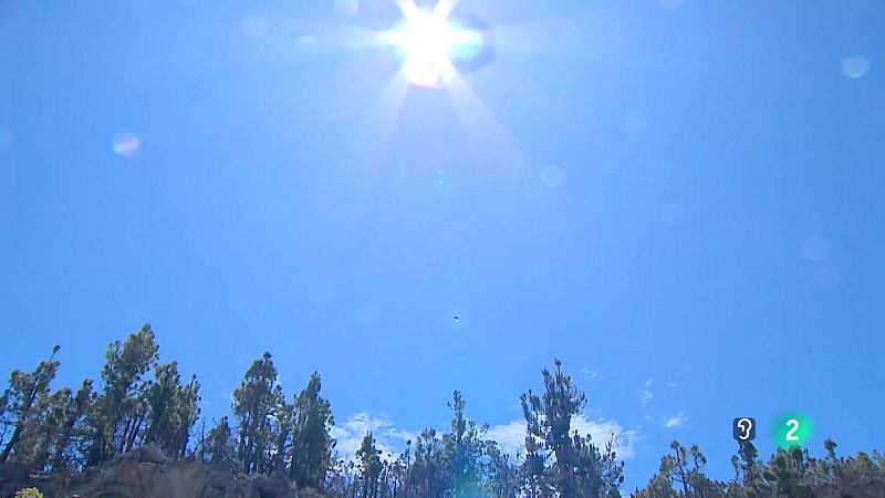 Telecanarias Tarde - 23/05/2025 | Ver