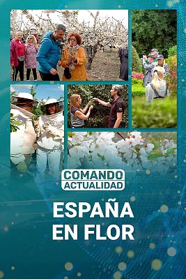 Comando Actualidad - España en flor (1)