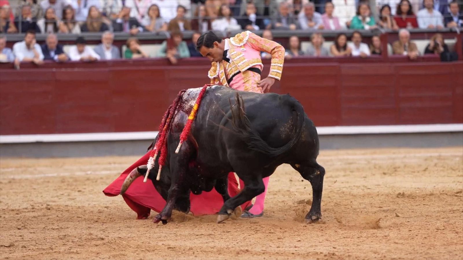 Tendido Cero - 24/05/25 - ver ahora