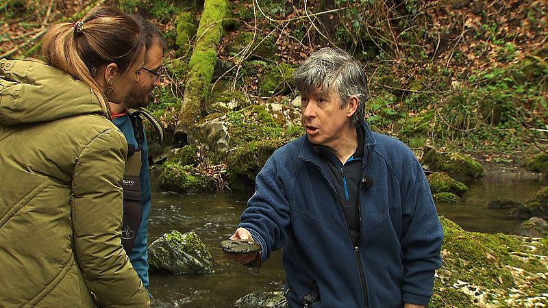 El escarabajo verde - Maestros del agua - ver ahora