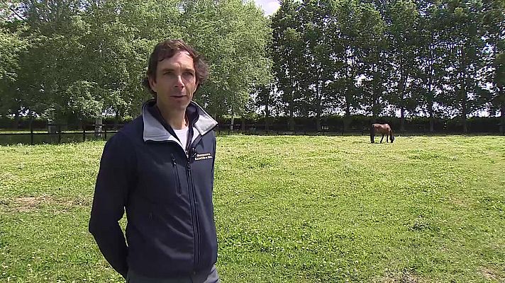 Hípica - Reportaje: La retirada de Rokfeller