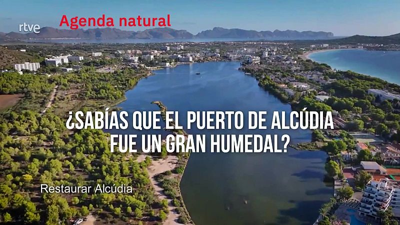 Agenda natural | Ver