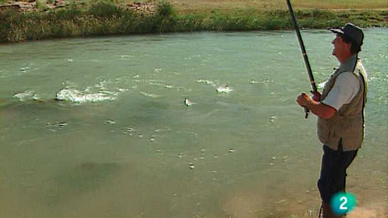 Jara y sedal - Barbos con ova - ver ahora