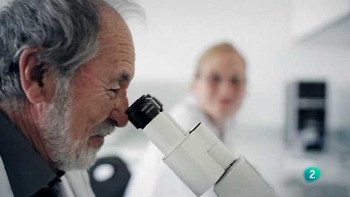 Talento 100 - Capítulo 4