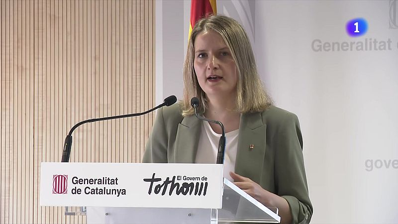 El Govern reformarà la DGAIA per adaptar-se als nous reptes - L'Informatiu | Veure