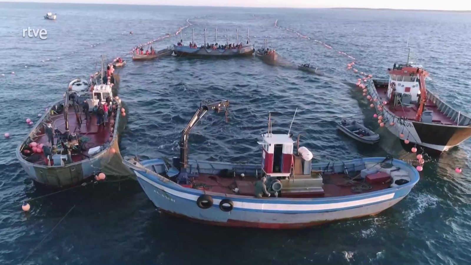 Aquí la Tierra - 26/05/25 - ver ahora