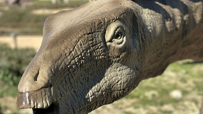 Telediario 2 - Descubierto en Teruel el cráneo más completo de dinosaurio de Europa