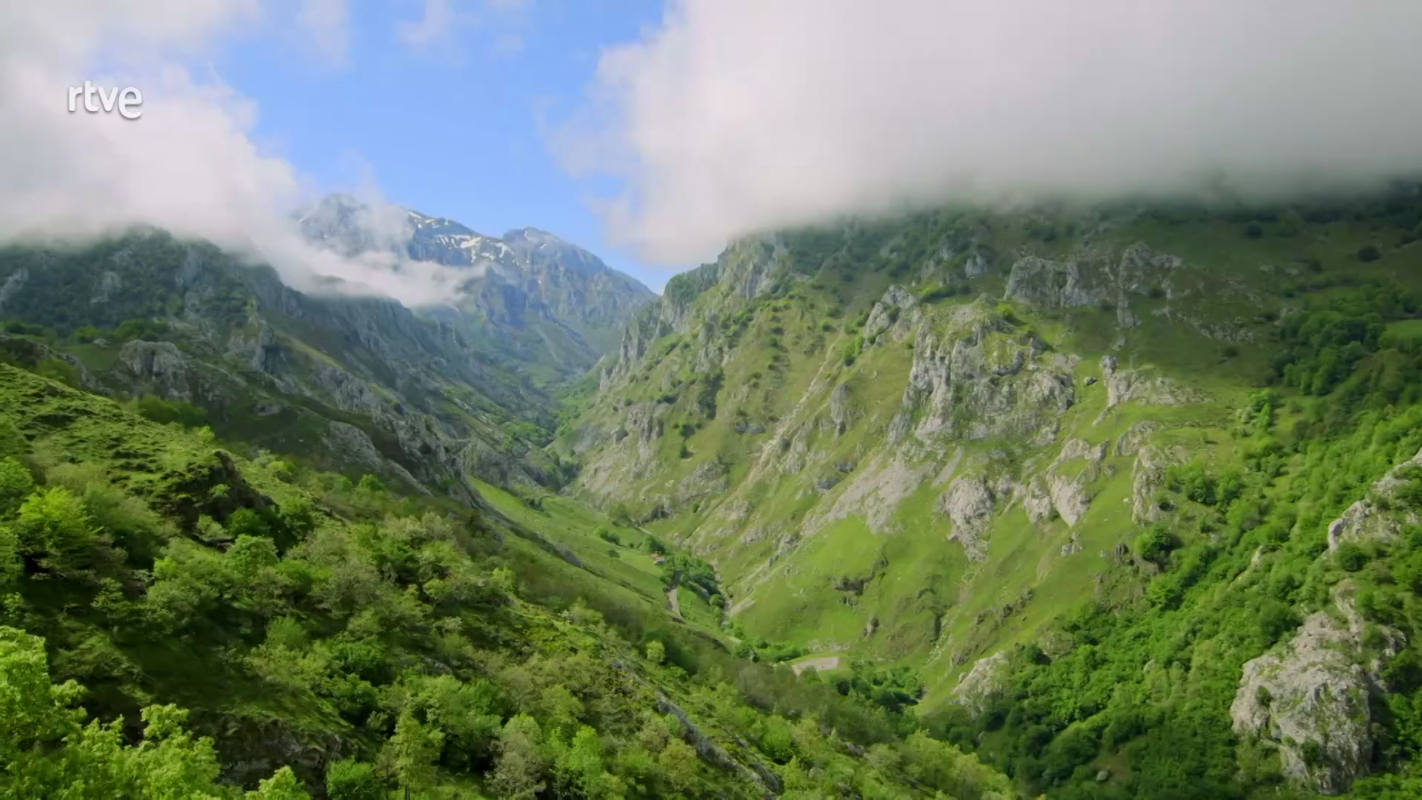 La Aventura de la Tierra en RTVE - RTVE responde | Ver