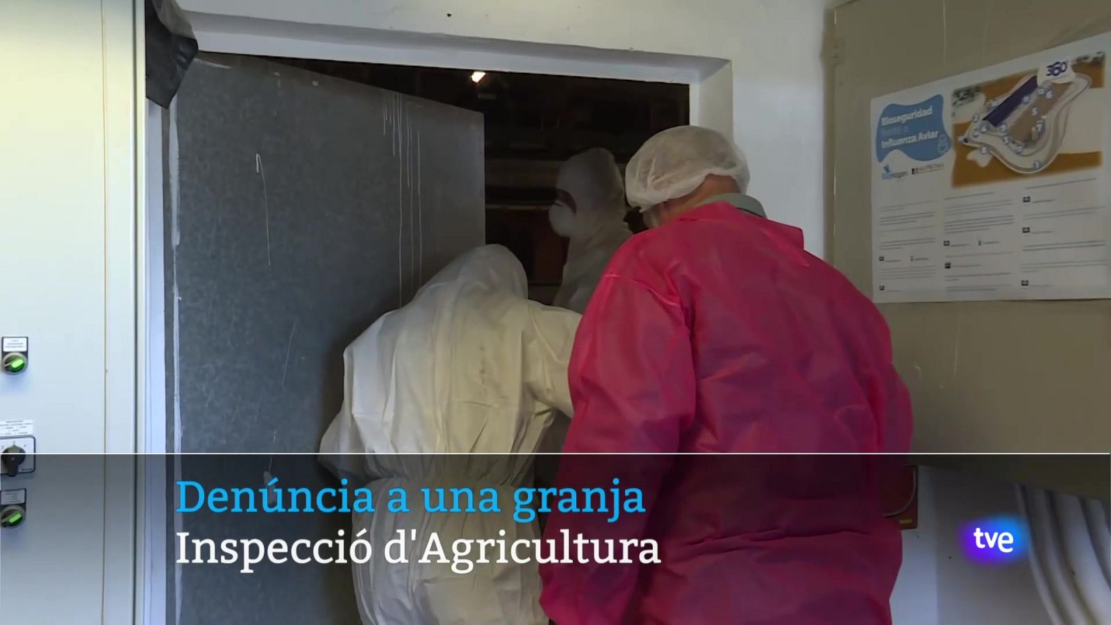 Informatiu Balear 2 - 27/05/25 Veure ara