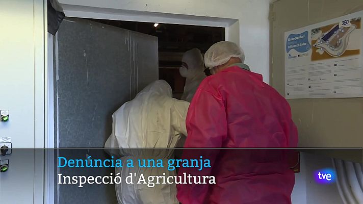 Informatiu Balear - Informatiu Balear 2 - 27/05/25