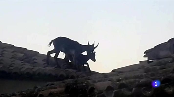 L'informatiu - Comunitat Valenciana - L'Informatiu Comunitat Valenciana 2 - 27/05/25