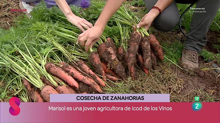 Somos 8 - Somos 8 - 27/05/2025