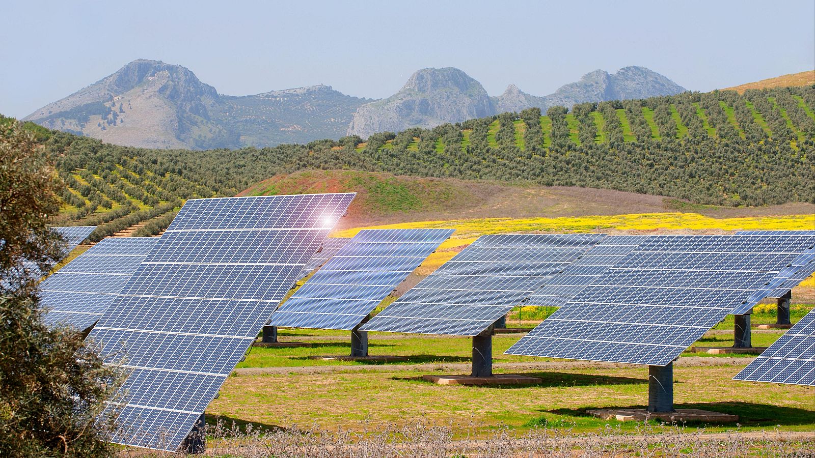 Verifica RTVE explica dudas sobre proyectos fotovoltaicos - La tarde en 24h | Ver