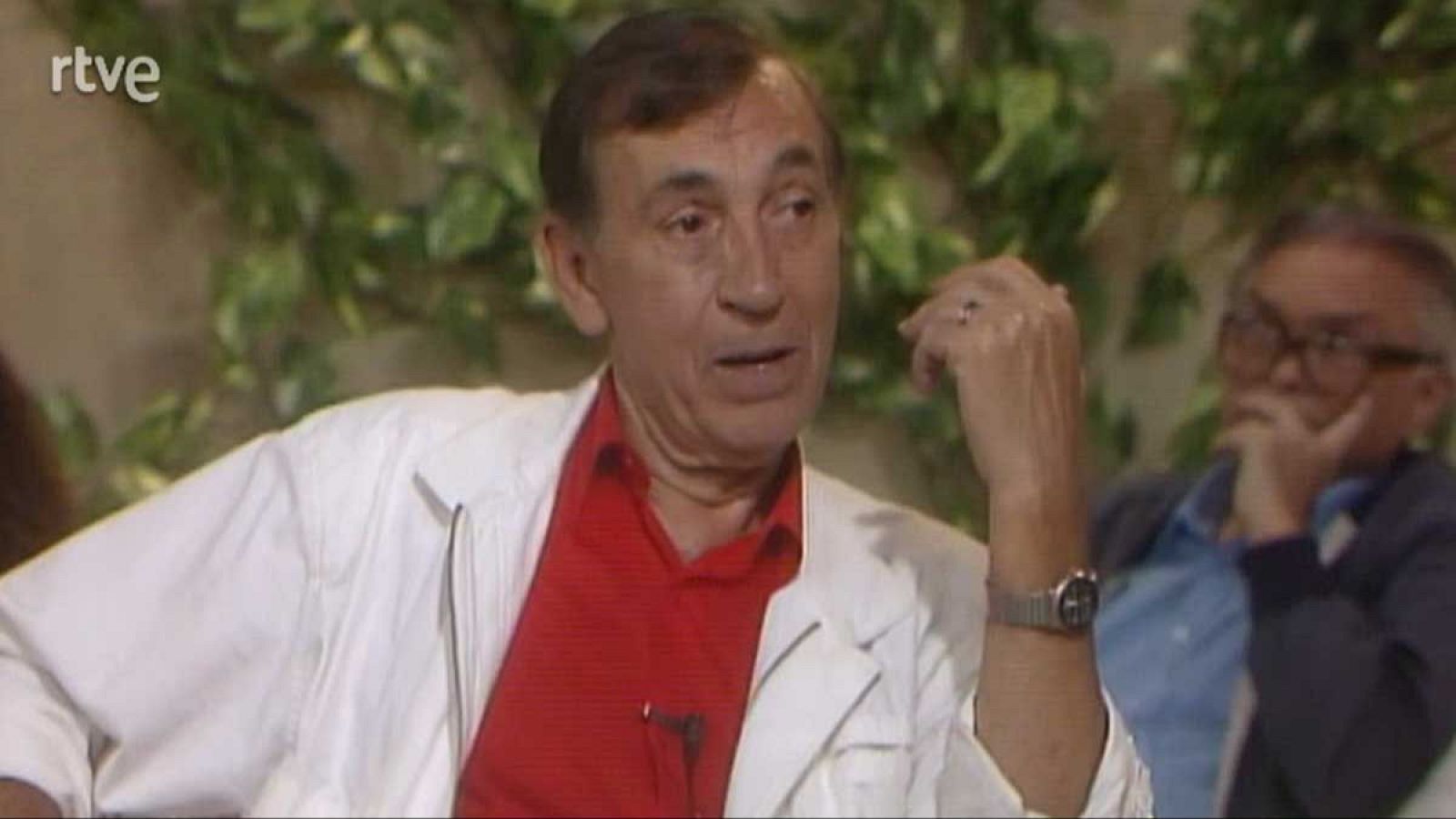 Un verano tal cual - 30/8/1988 - Un verano tal cual | Ver