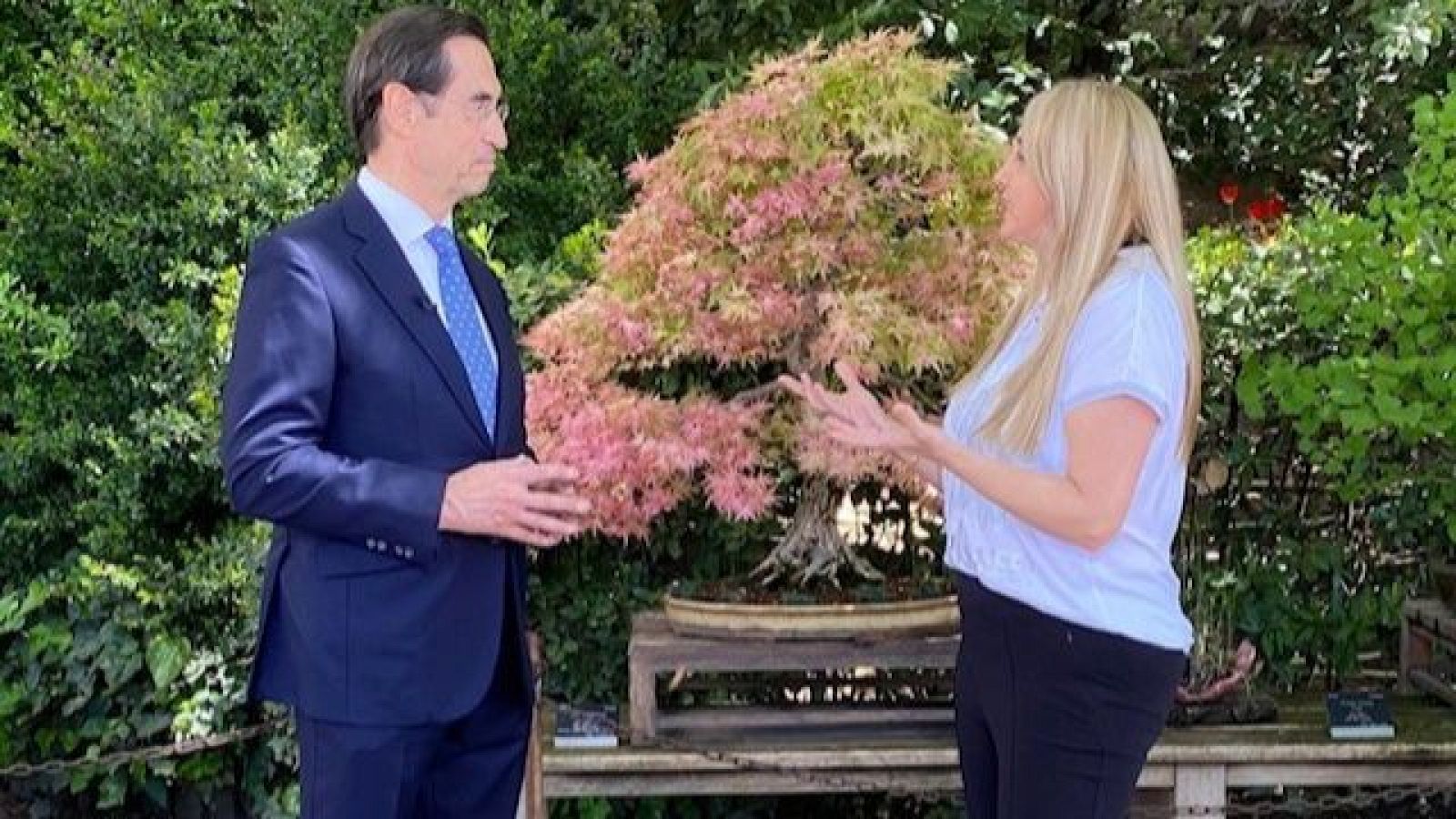 Reportaje con el doctor Mario Alonso Puig - Para todos La 2 | Ver