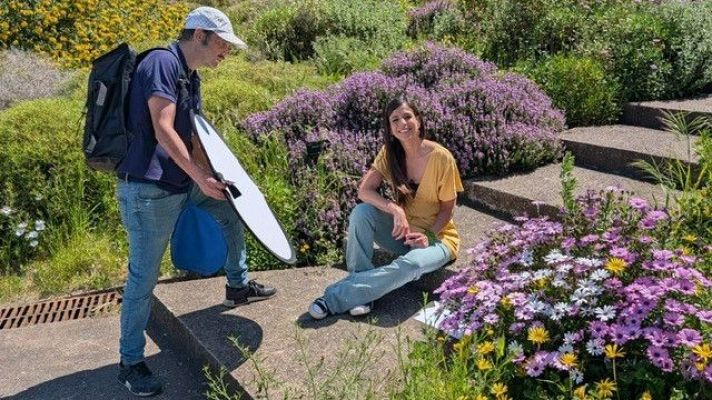 Para todos La 2 - Las mariposas forman parte de uno de los grupos de insectos más diversos del planeta